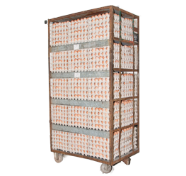 5400 Reggedal Eieren op een container